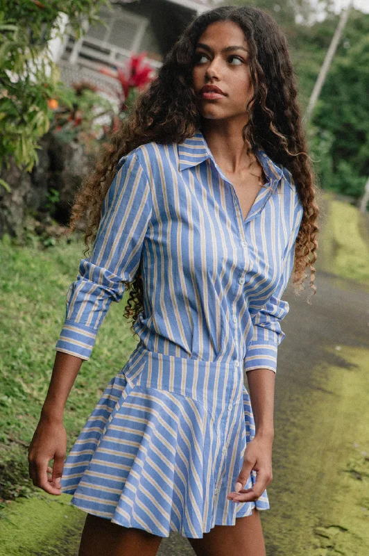 Flash Sale Fever Naeem Mini Dress