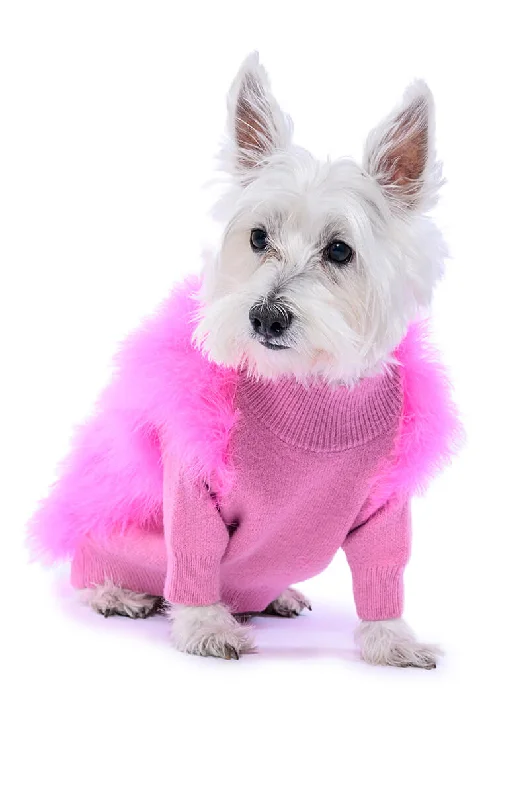 Budget Friendly Fashion QUINN FEATHER DOGGY SWEATER