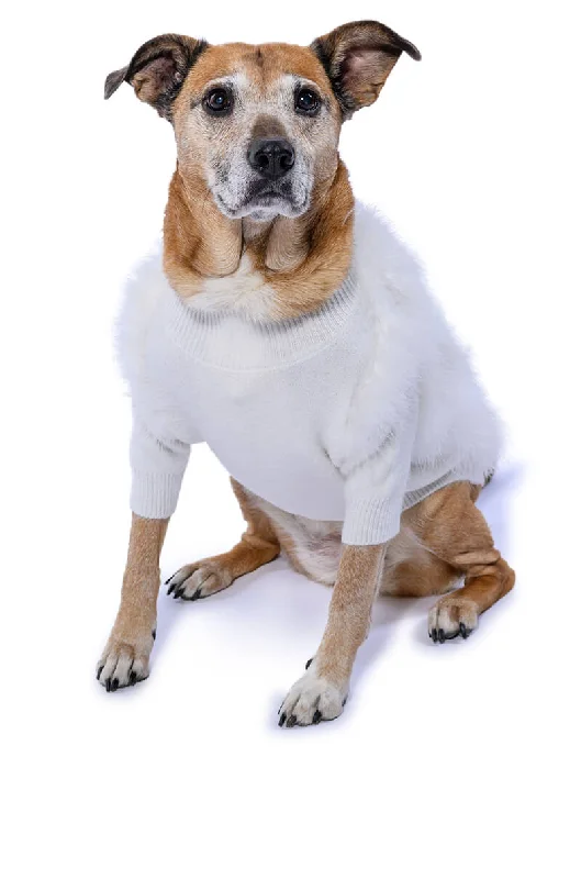 Classic Timeless Elegant Style QUINN FEATHER DOGGY SWEATER
